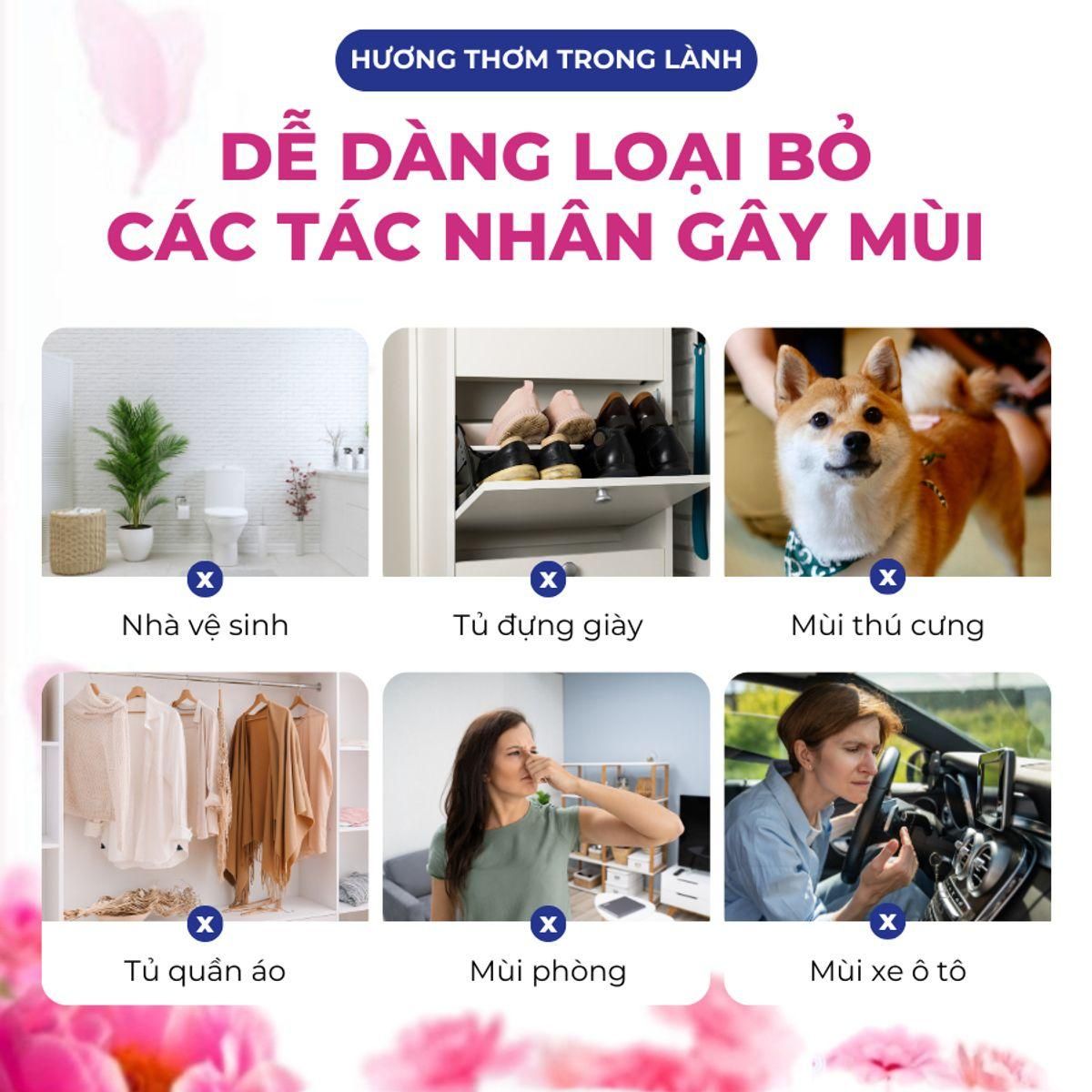 Túi Thơm Treo Tủ Quần Áo Hygiene Thái Lan Để Phòng Ngủ, Treo Xe Hương Hoa 8gr 6