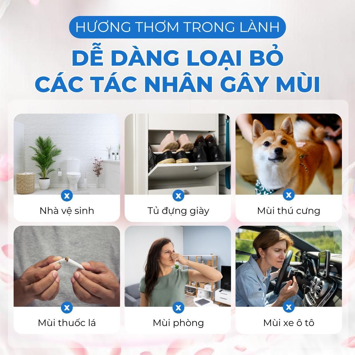 Sáp Thơm Phòng Khử Mùi Felce Azzurra Hương Tự Nhiên Cho Ô Tô Nhà Vệ Sinh Phòng Ngủ Tủ Quần Áo 140gr 5