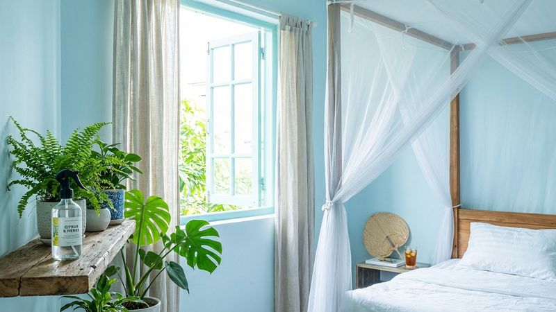 Xịt thơm phòng mùa hè: mùi nào mát lạnh nhất?